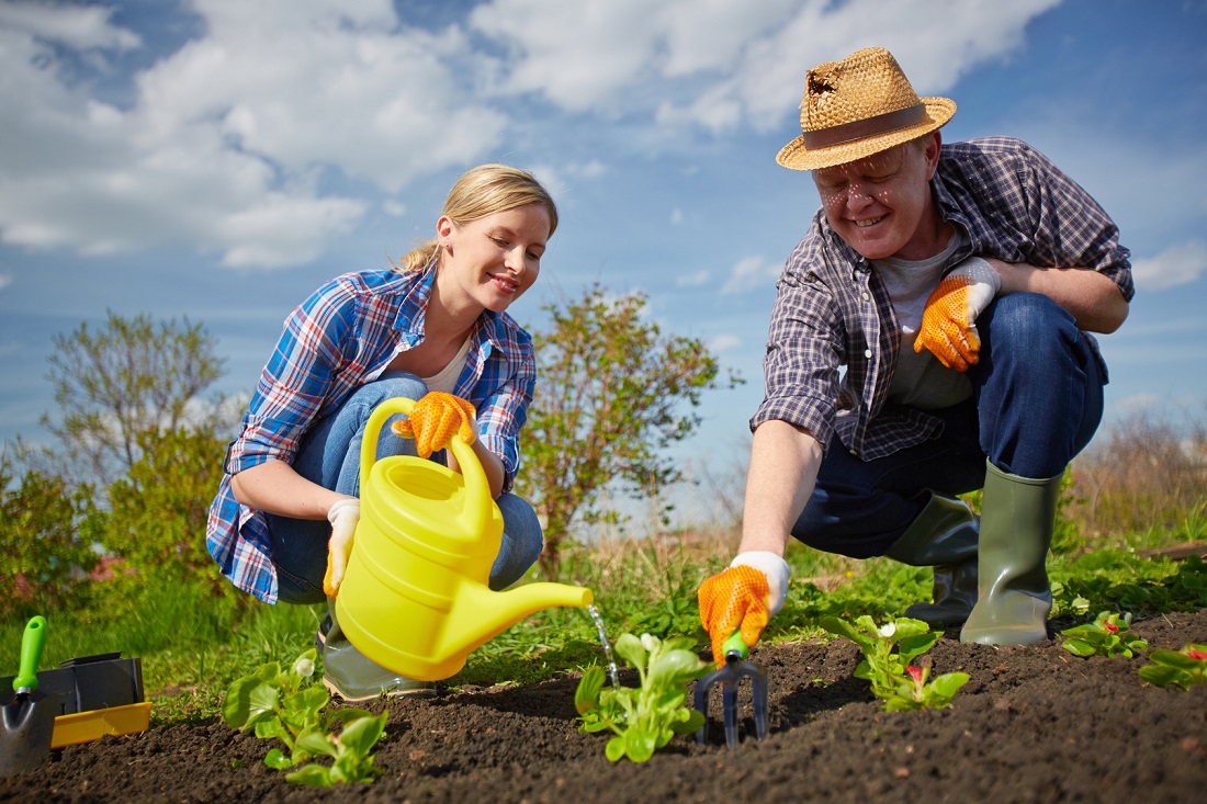 Garden and Health: The Benefits of Physical Activity and Psychological Comfort in the Garden